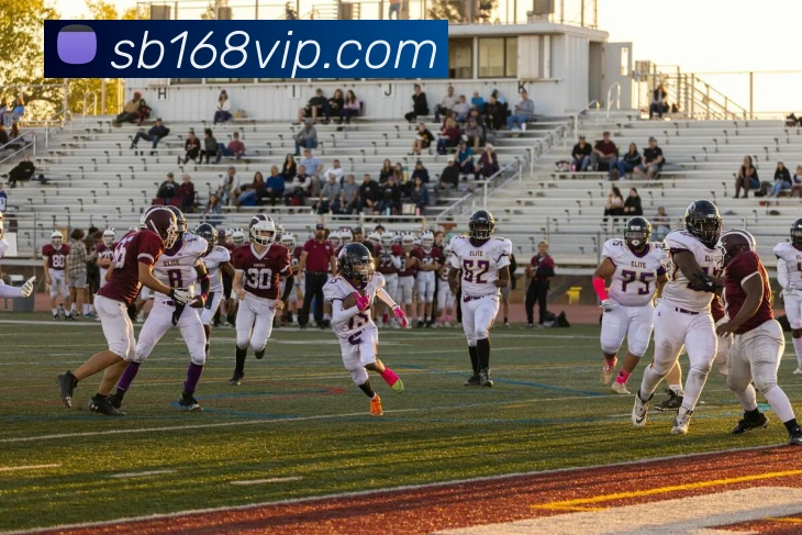 App Interface Preview